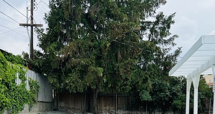 Contemporary Traditional w/ Pool, Wet Bar and Pool Table