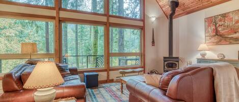 TV, DVD player, books, video library