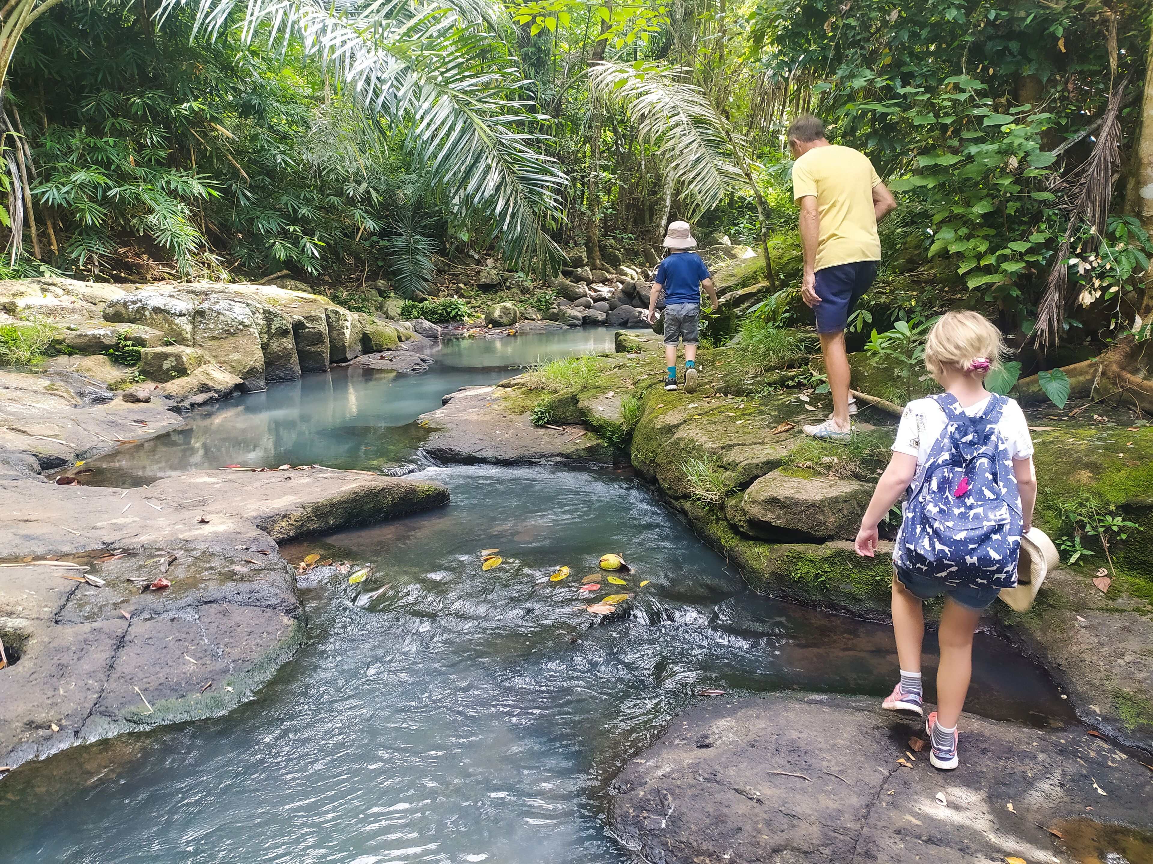 A natural setting with a stream, rocks, and dense foliage.