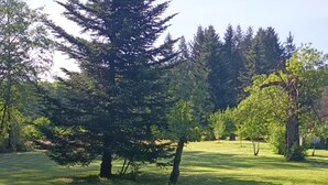 A grassy area with trees and a clear sky. - Gîte "des coussieres" between peace and nature (Courteix)