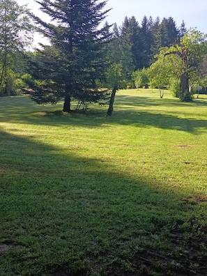 A grassy area with trees and a clear sky. - Gîte "des coussieres" between peace and nature (Courteix)