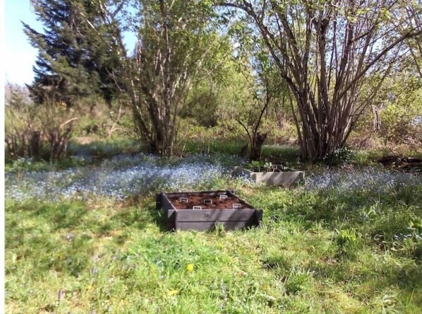 Parco della struttura