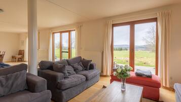 Een televisie, een open haard en een dvd-speler