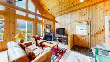 TV, fireplace, DVD player, books