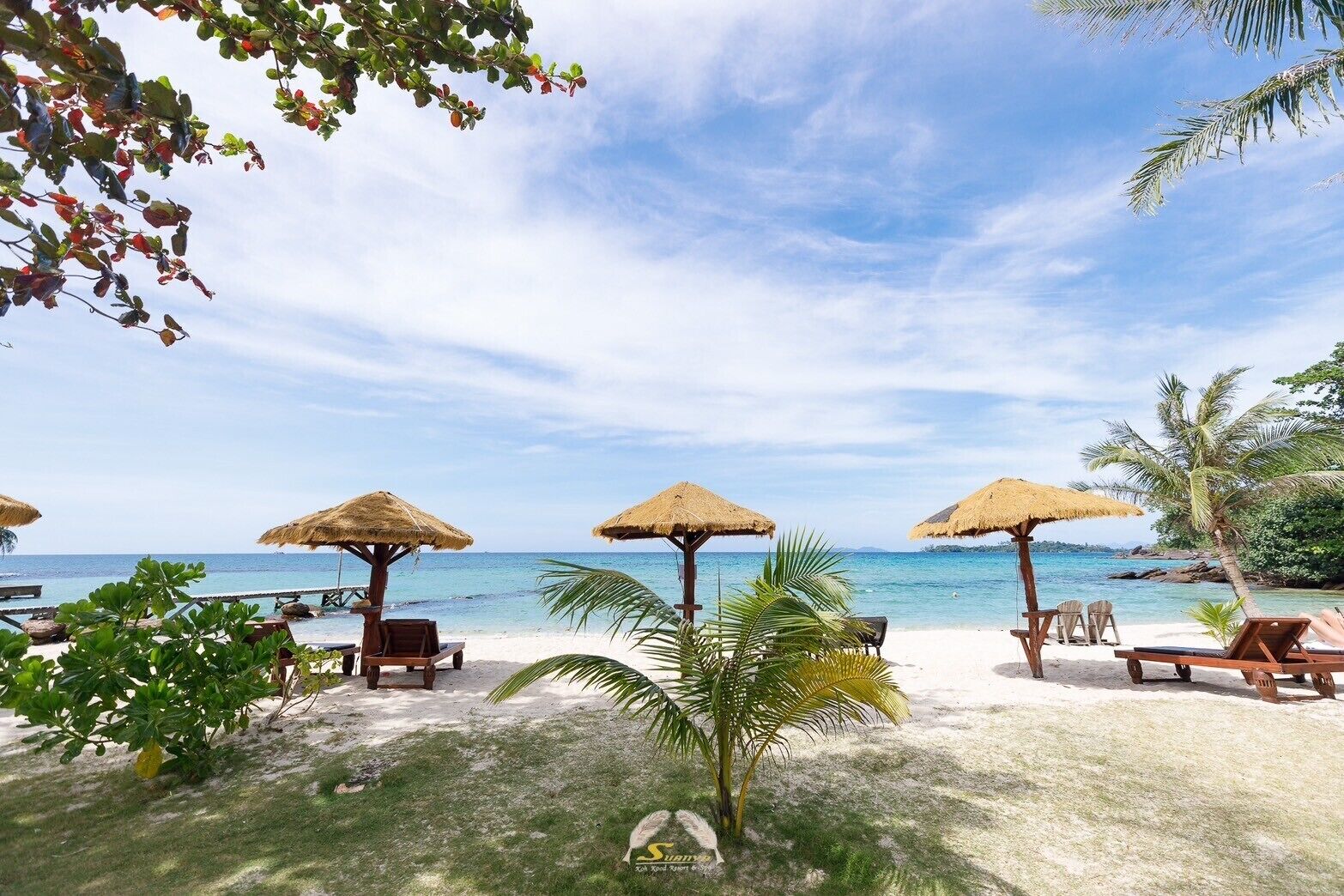Une plage avec des parasols en chaume, des chaises longues et un palmier.
