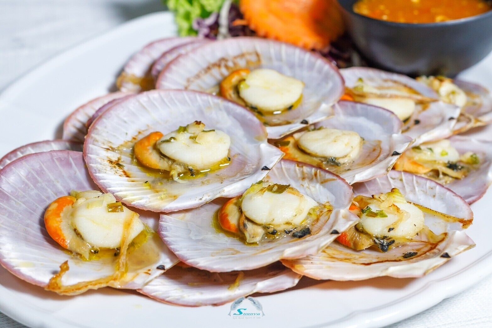 A plate of scallops with a creamy topping, served on a white plate.