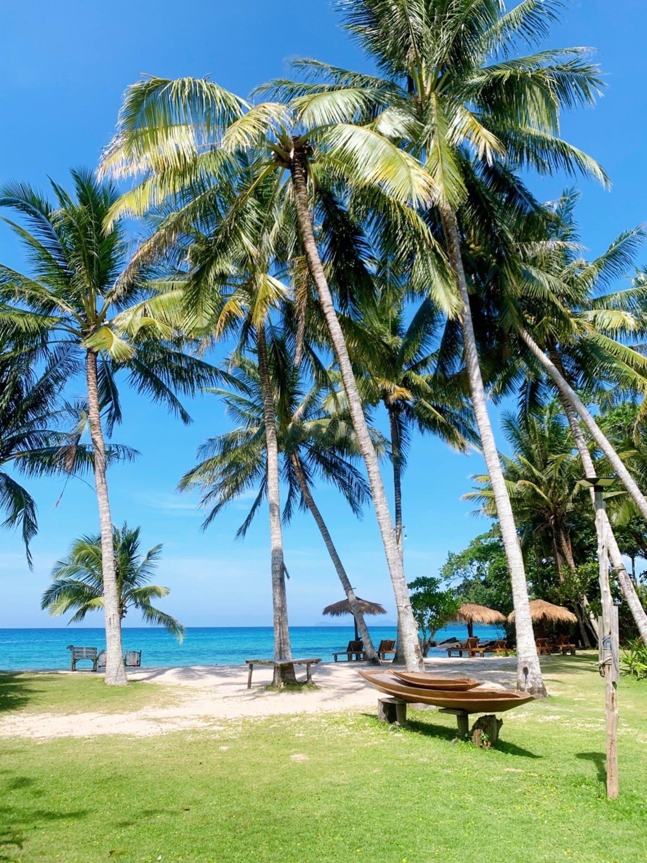 A beach with palm trees, a wooden boat, and a thatched umbrella.