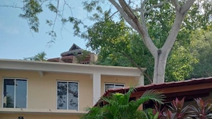 Unclassified image, 3 of 21, button - Victor Farias  (Zihuatanejo)