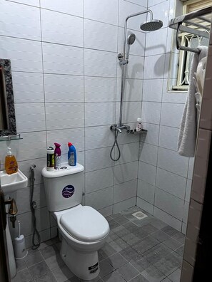 Shower, towels, soap, toilet paper
