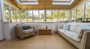 Smart TV, chimenea, reproductor de DVD y libros 