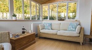 TV connectée, cheminée, lecteur de DVD, livres