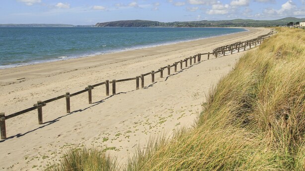 Ein sandiger Strand mit einer Holzlattenzäunung und grasbewachsenen Dünen.