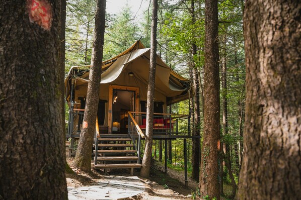 The Surveyor with Meadow View