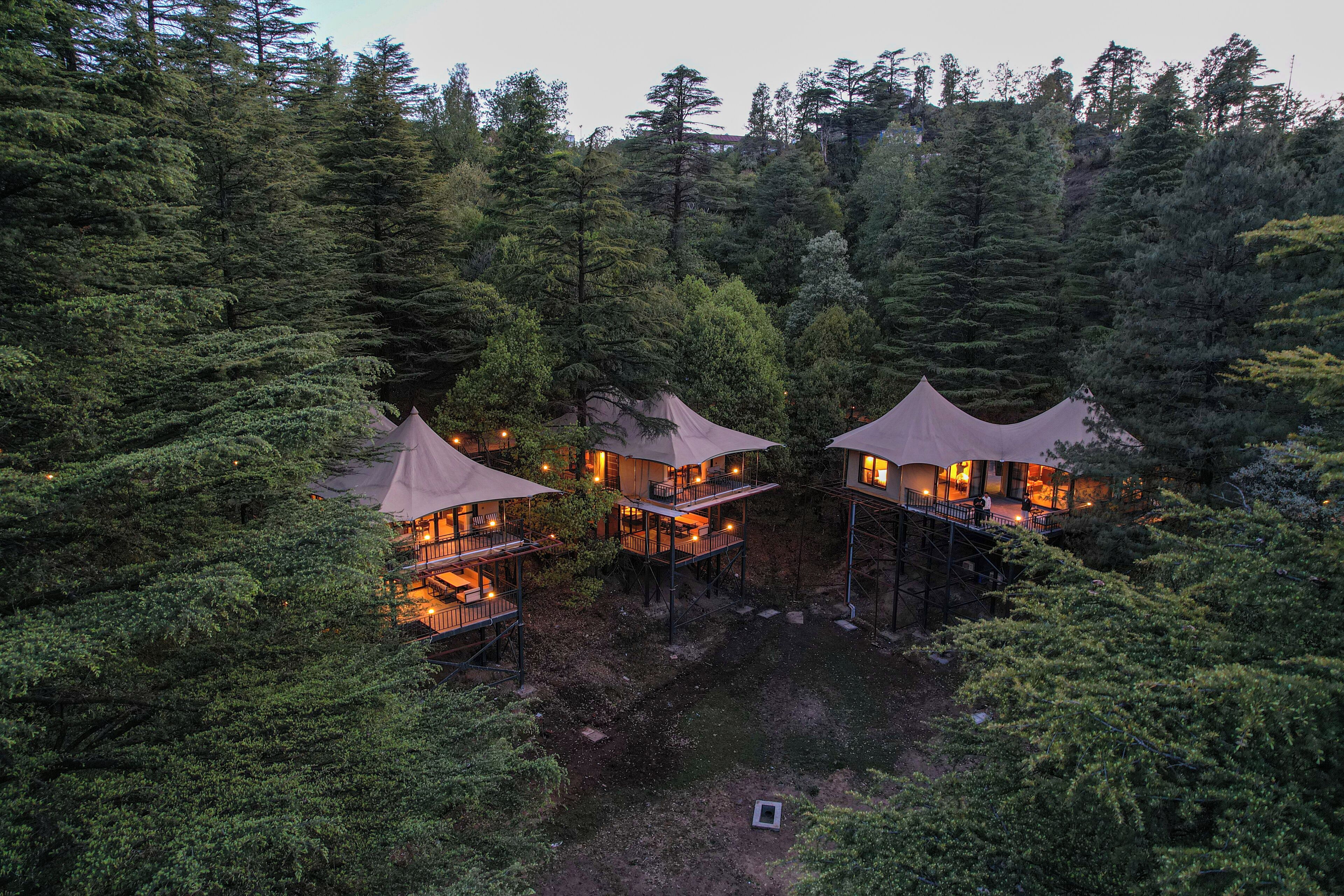 Three treehouse-style cabins surrounded by dense forest.