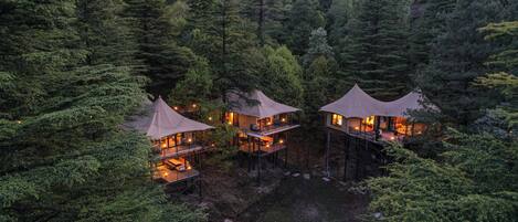 Three treehouse-style cabins surrounded by dense forest.