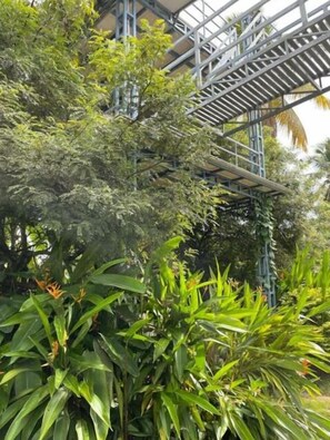 Garden - Rain Homestay (Ambalapuzha)
