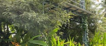 Rain Homestay