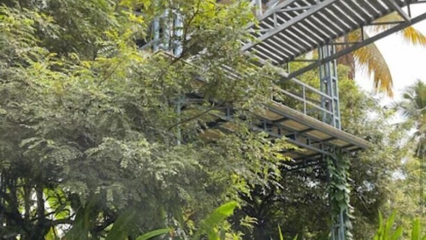 A metal bridge structure amidst dense foliage. - Rain Homestay (Ambalapuzha)