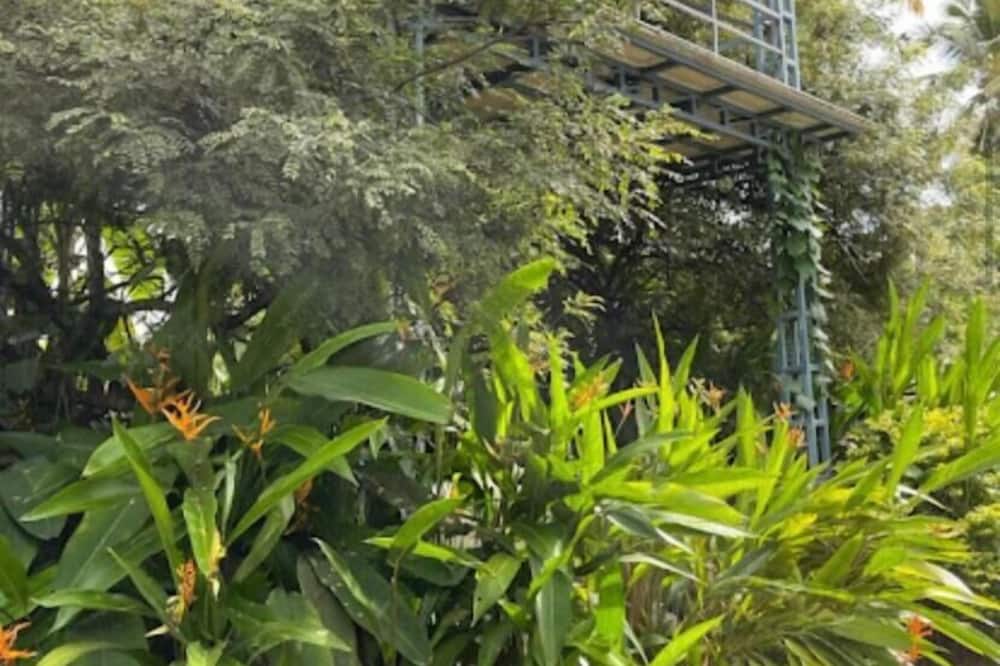 Rain Homestay
