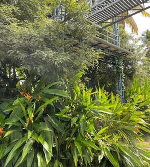 Uma estrutura metálica de ponte em meio a vegetação densa.