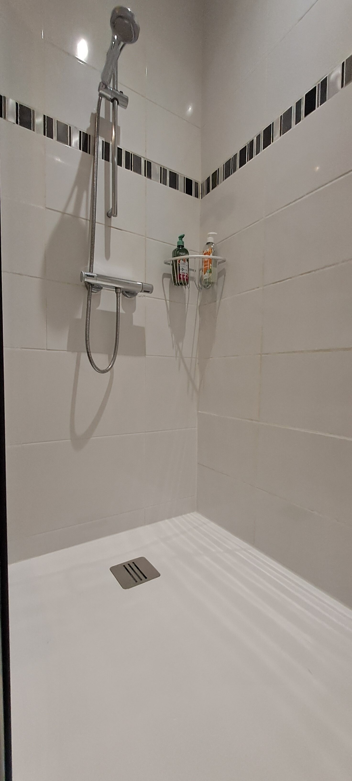A modern bathroom with a shower, a toilet, and a shelf with toiletries.