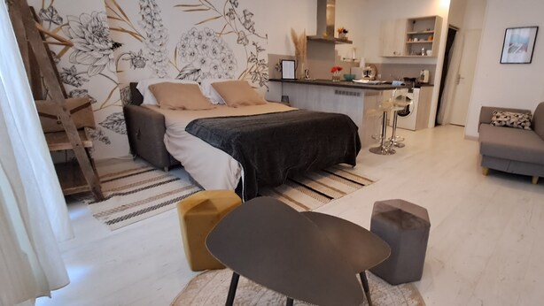 A compact living space with a bed, a sofa, a small table, and a kitchen area. - Les Arcades Studio in the heart of town, near Puy du Fou, with Wi-fi, Netflix, Canal+. (Cholet)