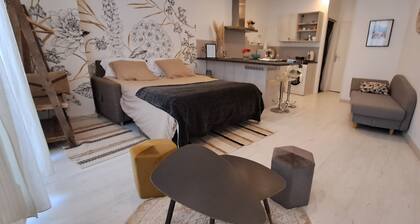 Les Arcades Studio in the heart of town, near Puy du Fou, with Wi-fi, Netflix, Canal+.