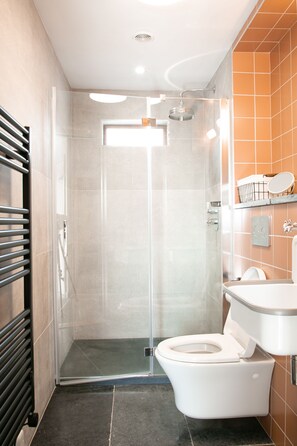 Dusch, hårtork, handdukar och toalettpapper