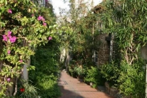 Jardines del alojamiento