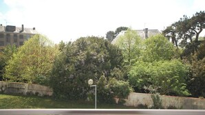 Vista de un estacionamiento con varios autos, una zona de césped y árboles.