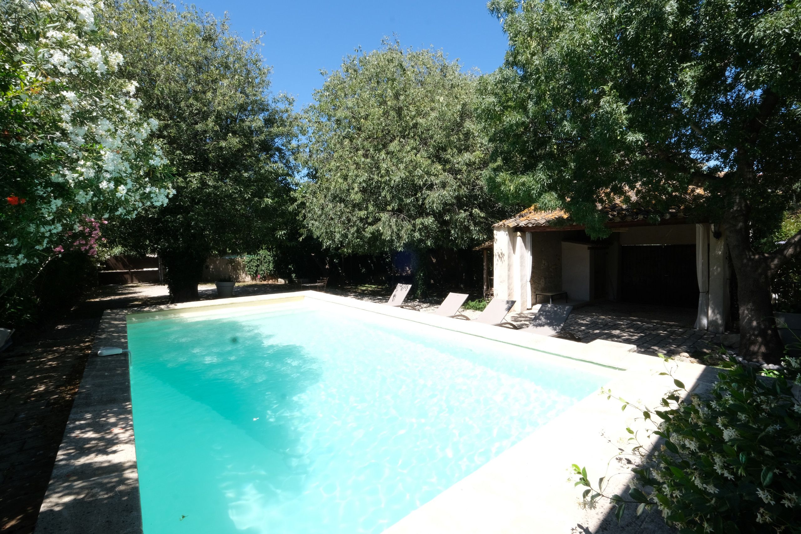 A rectangular swimming pool surrounded by lush greenery and trees.