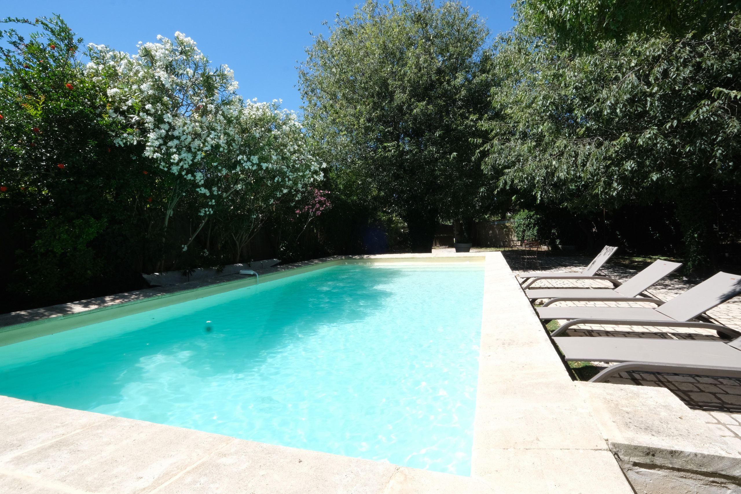 Une piscine entourée de chaises longues et d’une végétation luxuriante.