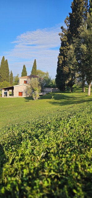 A rural landscape with a stone building, a field, and tall trees. - Atrium Vinea (Pyrgos)