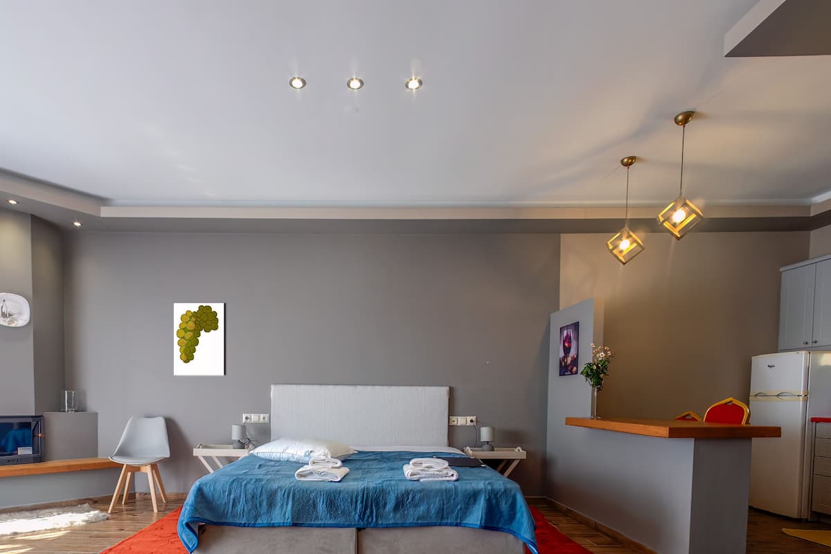 Studio Suite Superior | Ruang kerja ramah laptop, Wi-Fi gratis, dan didekorasi berbeda-beda