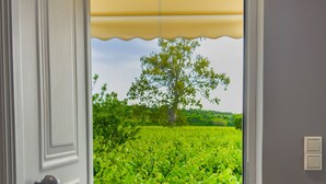 Eine Tür mit Blick auf einen Weinberg, durch eine gelbe Markise.