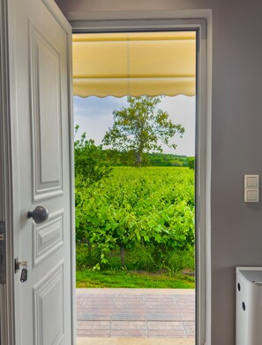 Deluxe Suite | Free WiFi, bed sheets