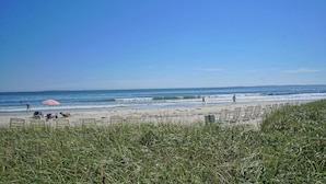 A beach with rows of beach chairs and a red and white striped umbrella.