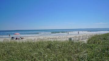 On the beach