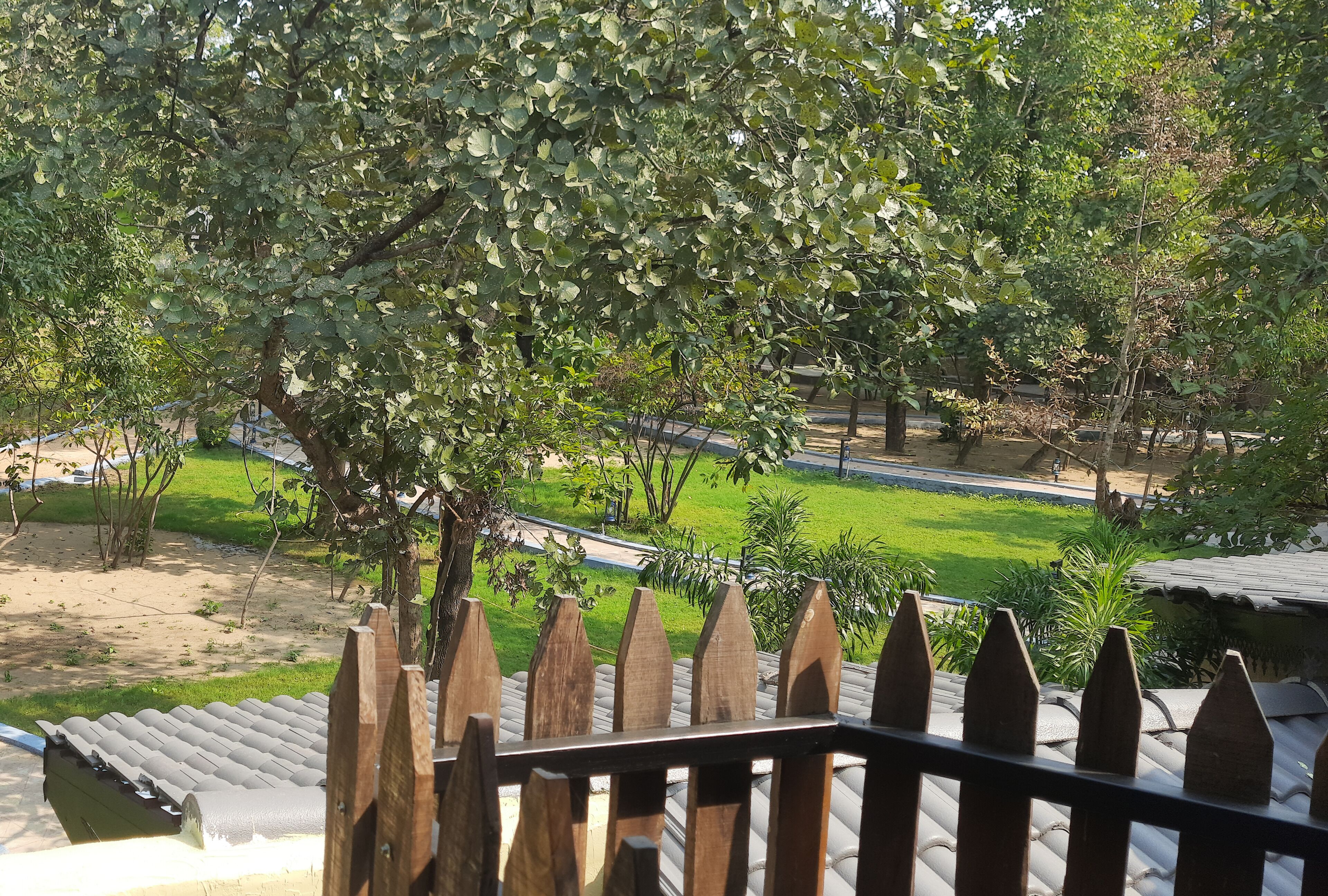 Vista desde un balcón con valla de madera, zona verde y árboles al fondo.