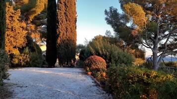 Jardines del alojamiento