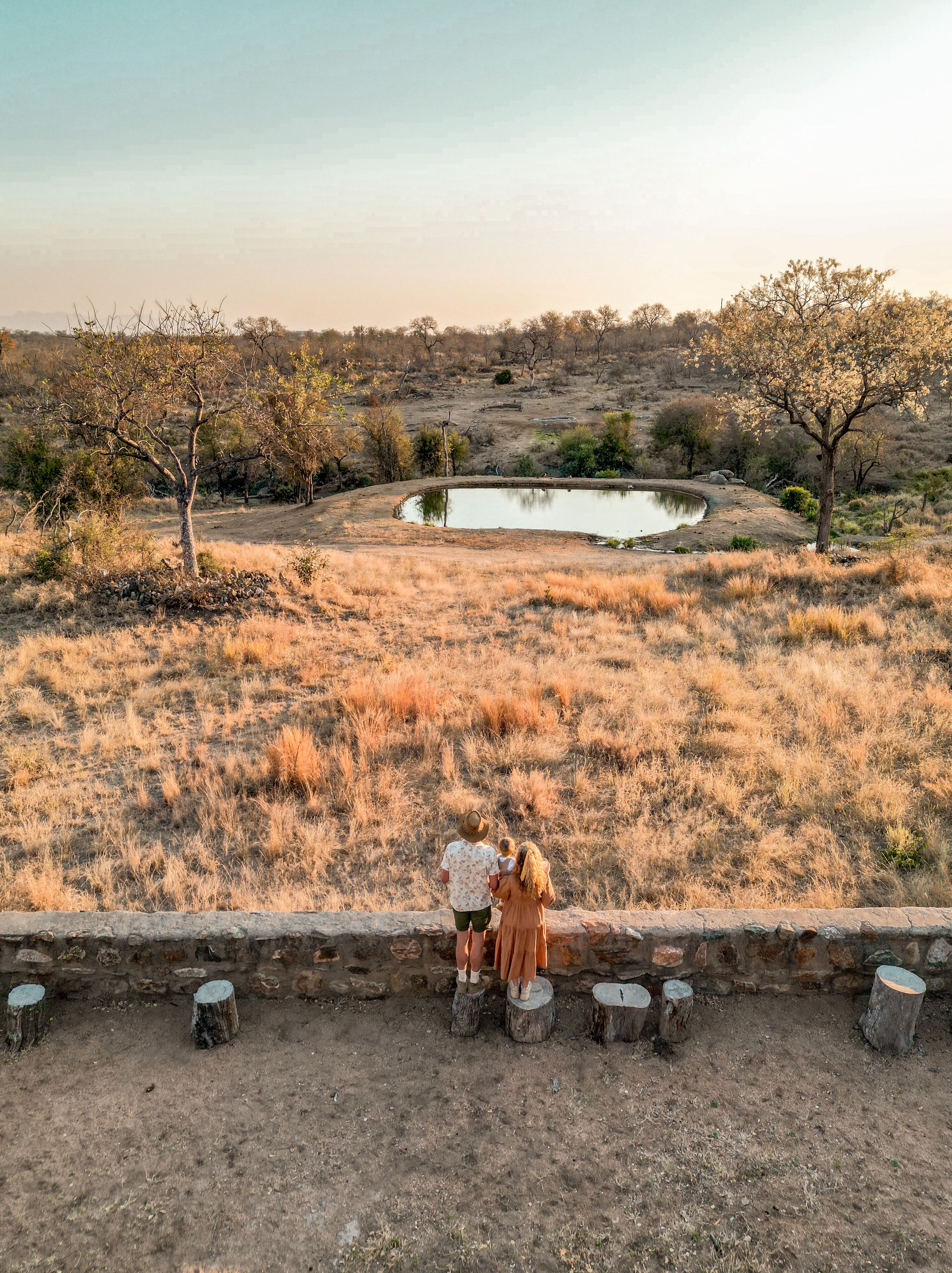 A view of a dry, grassy landscape with a small pond and trees.