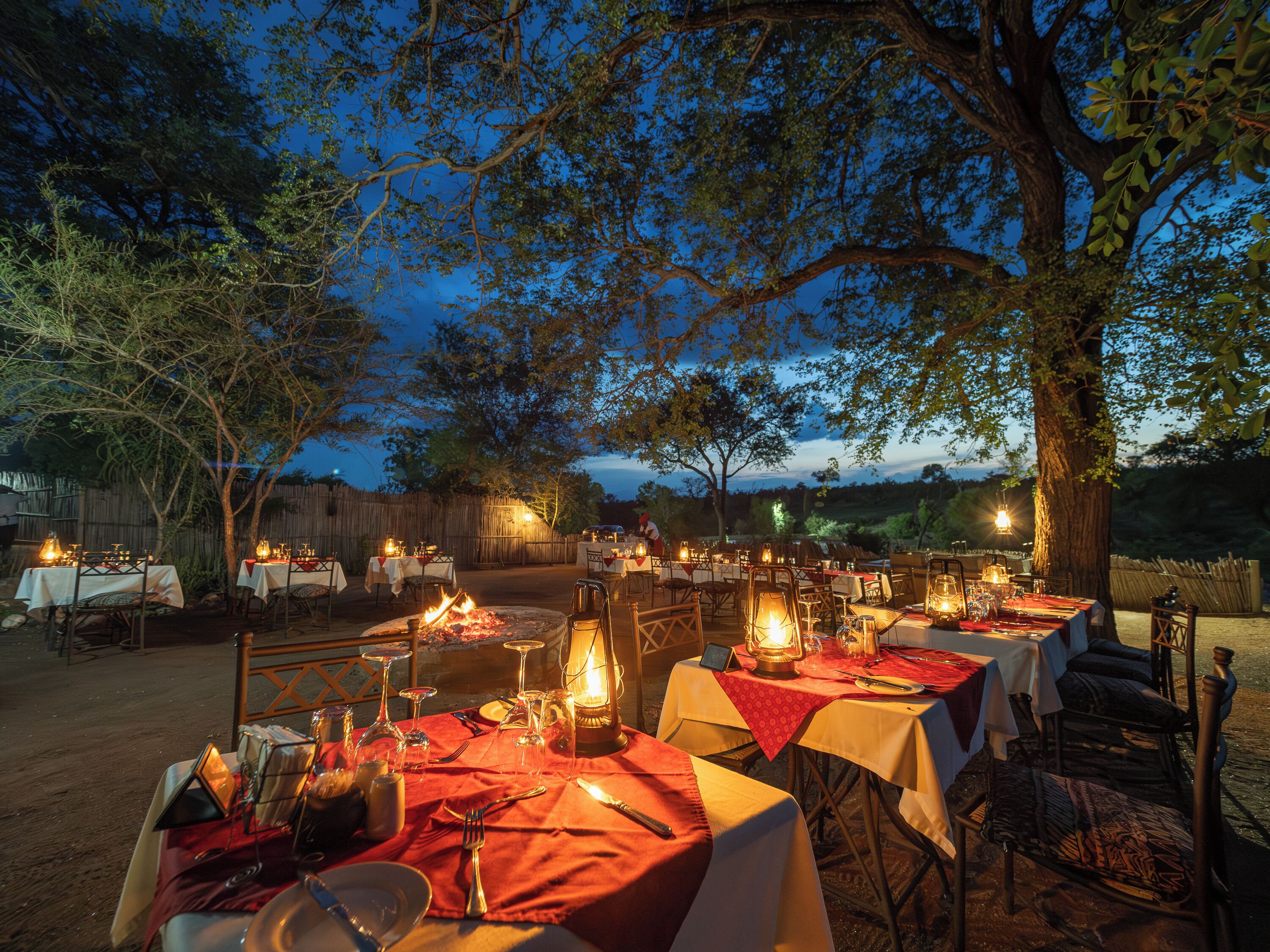 An outdoor dining area with tables set for a meal, surrounded by trees and a wooden fence.