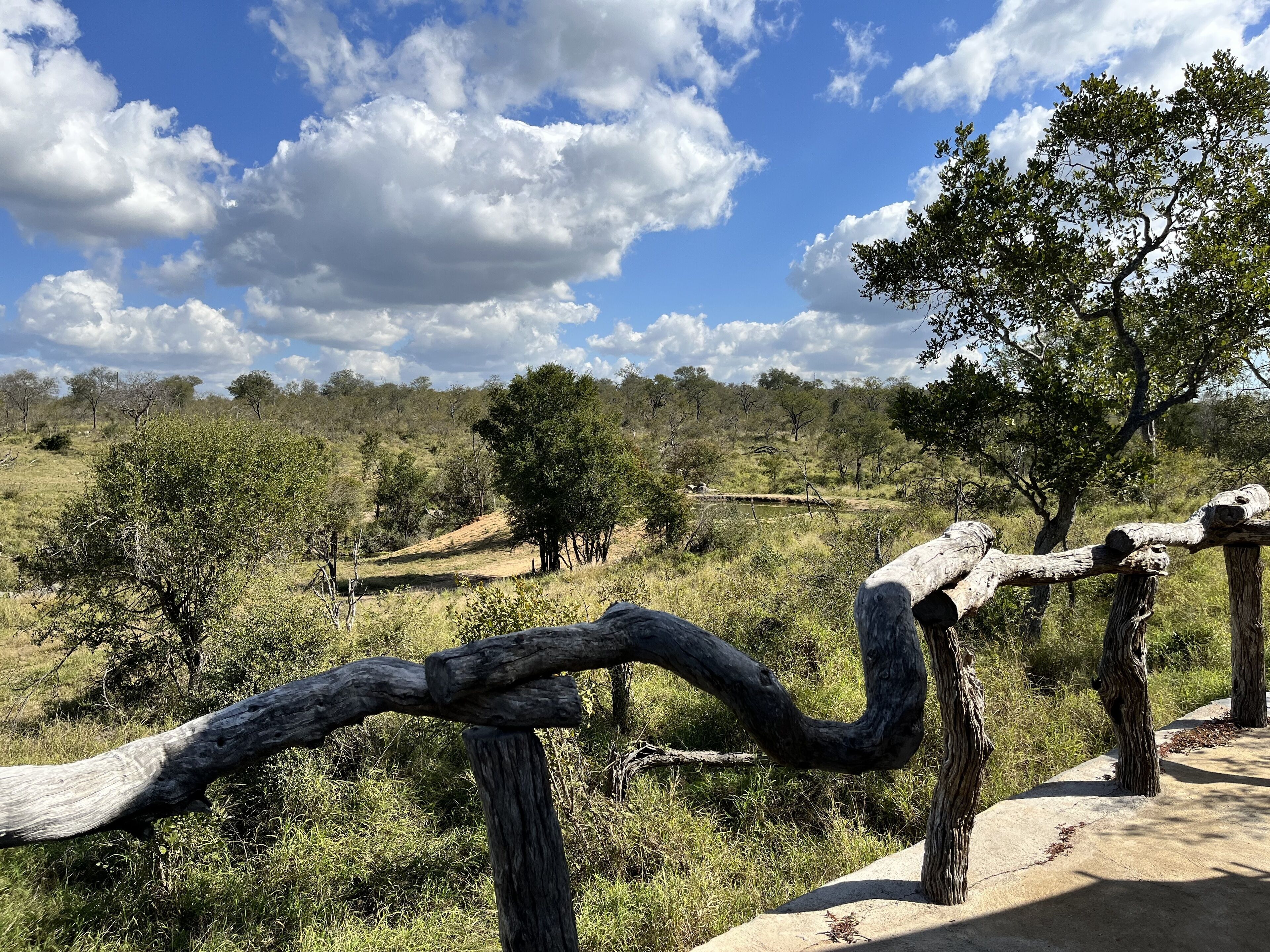 A natural landscape with a wooden fence, trees, and a clear sky.