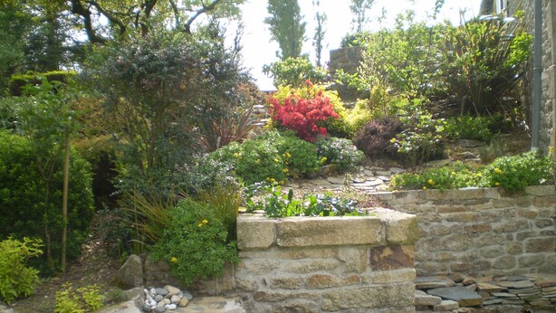 Una escalera de piedra que sube hacia un jardín con diversas plantas y flores.