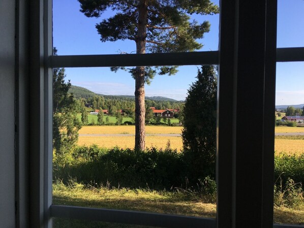 Vista desde una ventana a un paisaje rural con campos, un árbol destacado y casas a lo lejos.