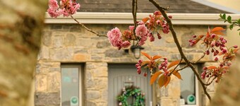 Parkhouse Bed and Breakfast