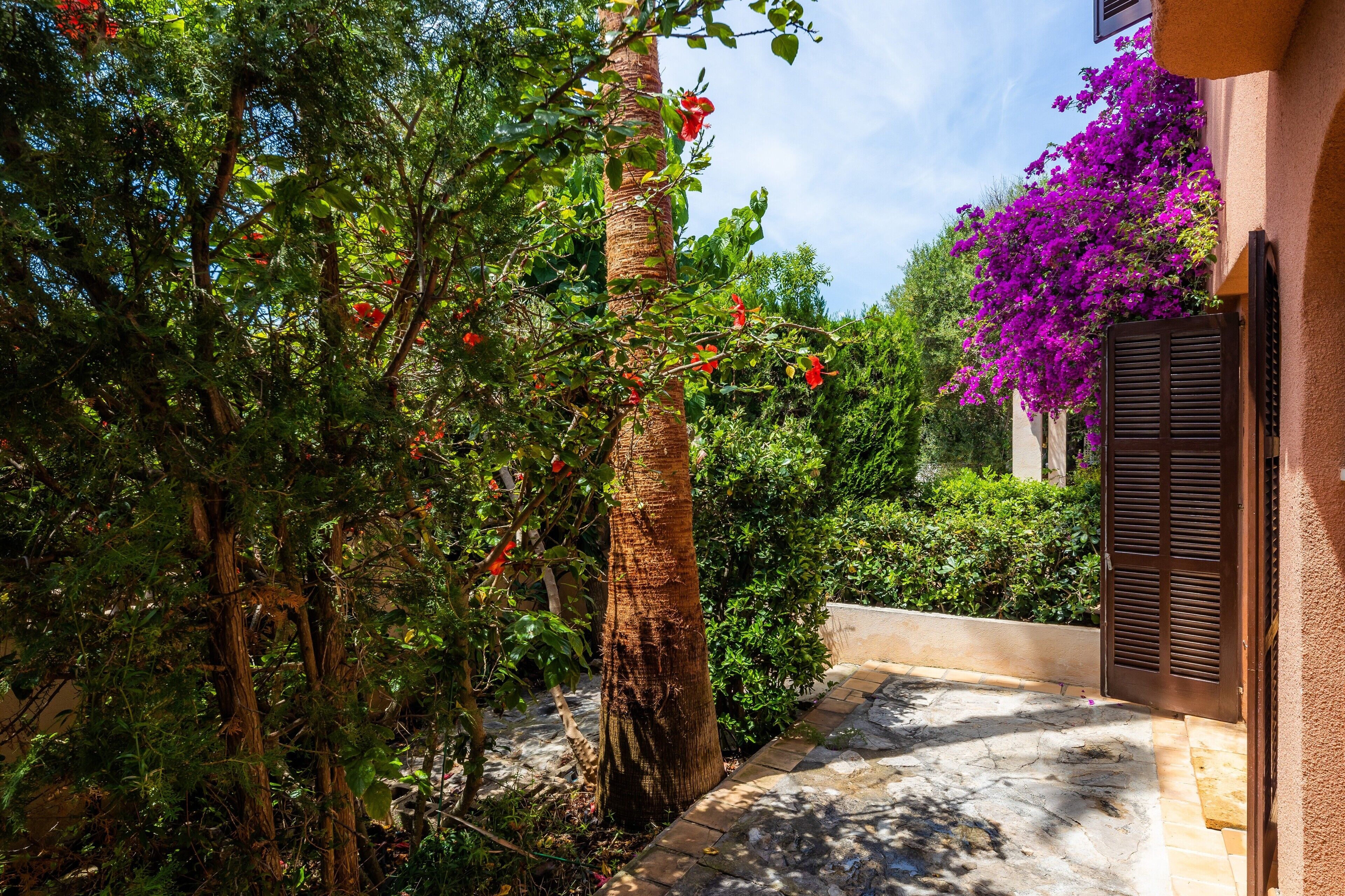 Áreas de la propiedad