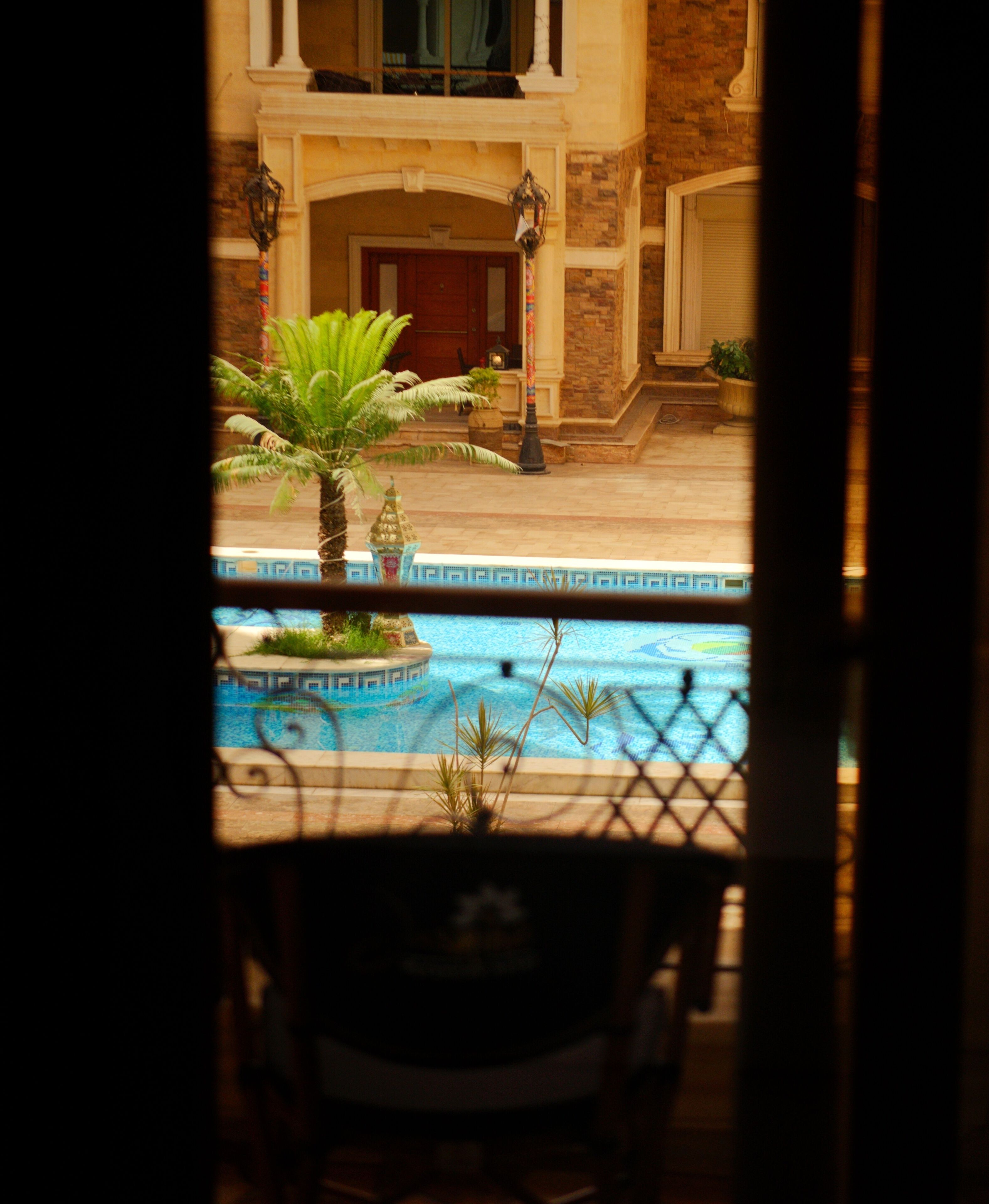 Vista de una zona de piscina con una palmera y una fuente decorativa.