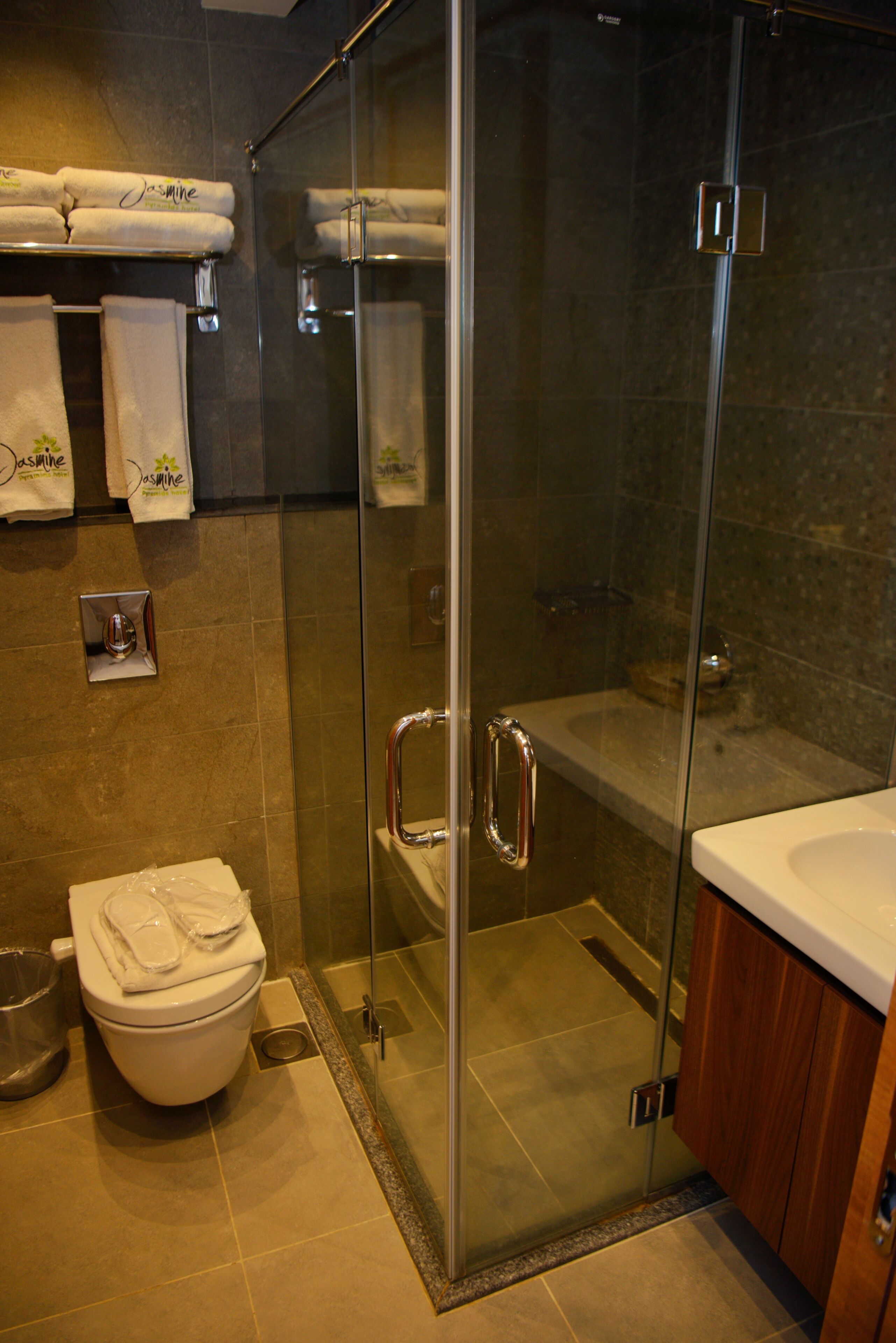 A modern bathroom with a glass-enclosed shower, a white sink, and a toilet.