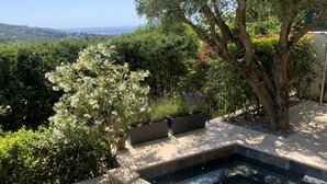 Zona de piscina con borde de piedra, rodeada de vegetación y vistas al paisaje.